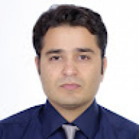 Ali F.